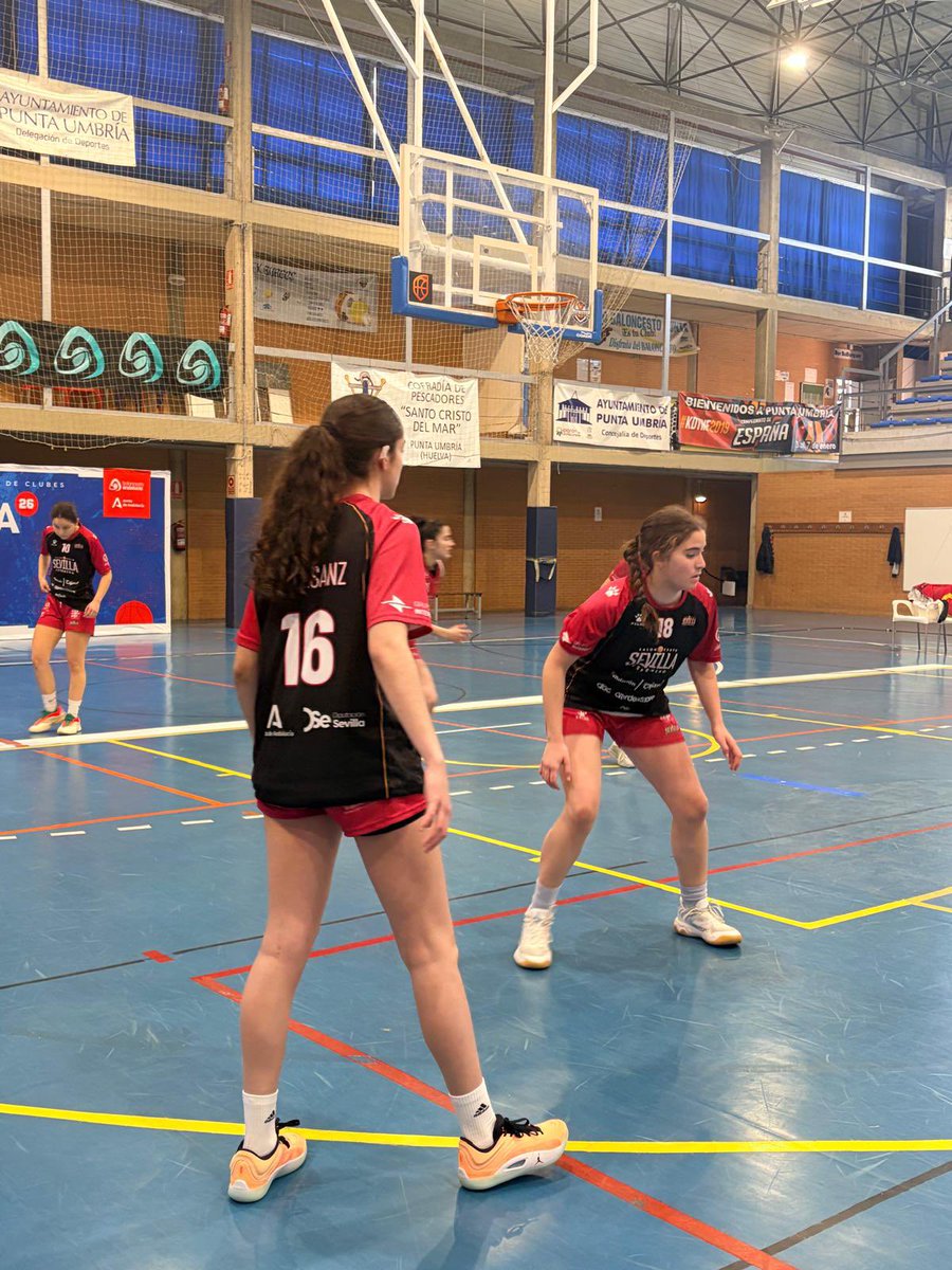 CB Sevilla Femenino tweet media