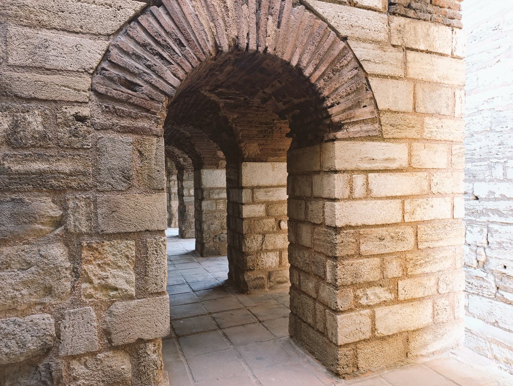 Fatih Dalgalı tweet media