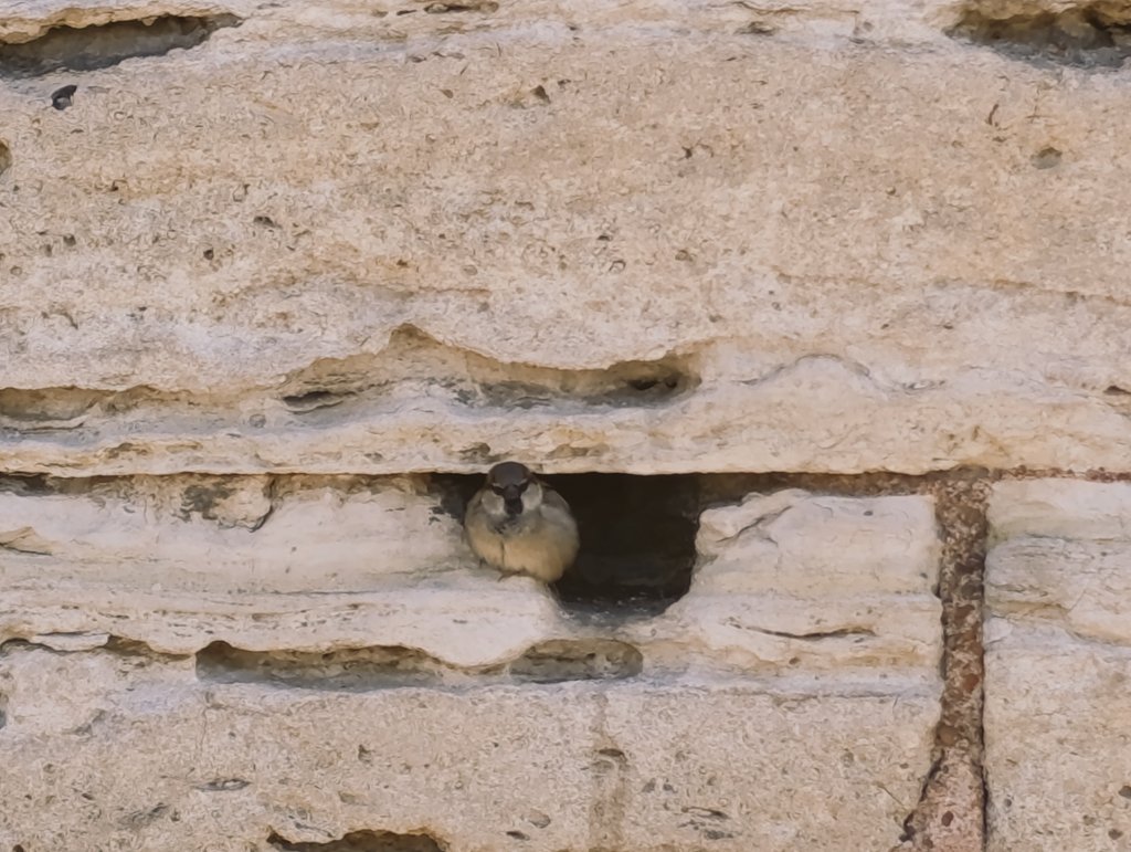 Fatih Dalgalı tweet media