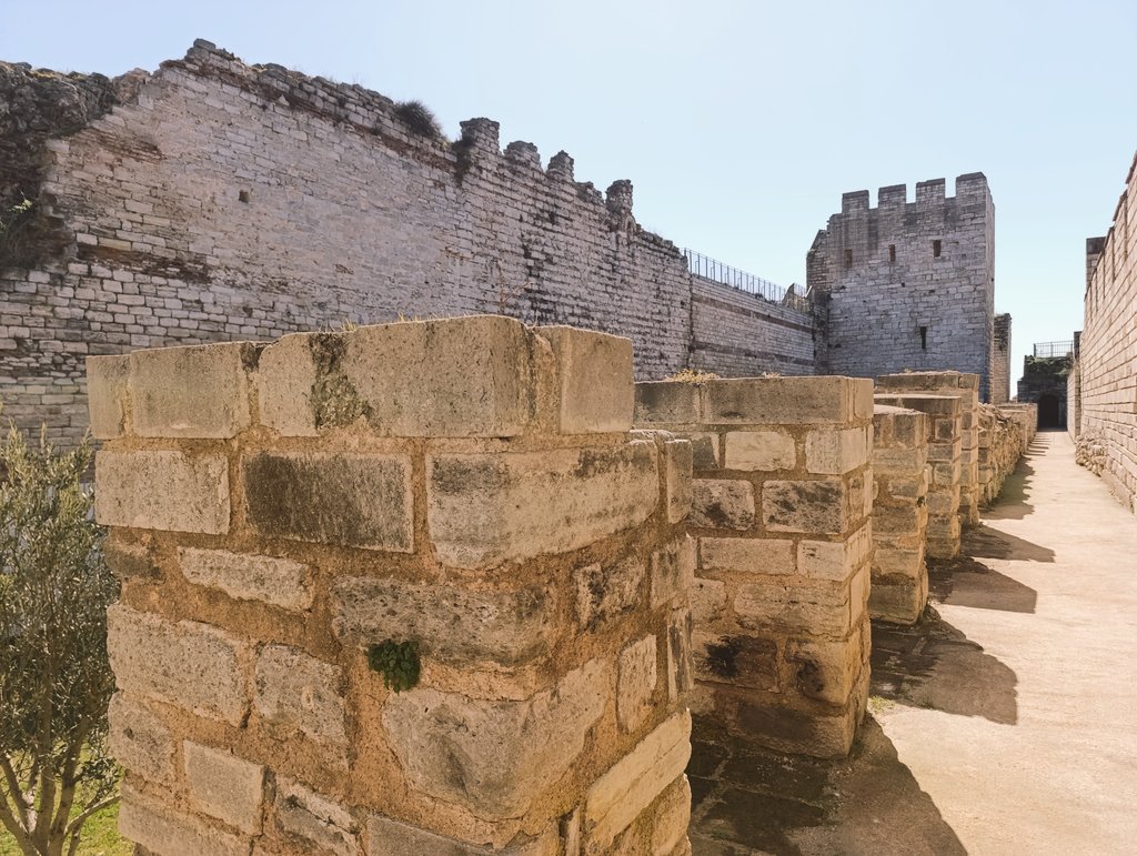 Fatih Dalgalı tweet media