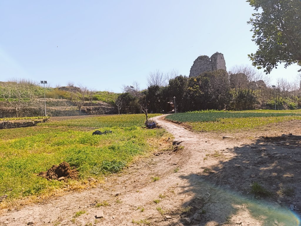 Fatih Dalgalı tweet media