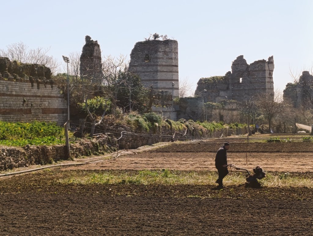 Fatih Dalgalı tweet media