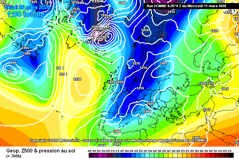 carlos/virazón tweet media