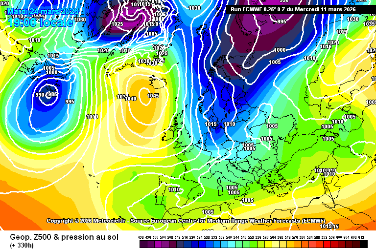 carlos/virazón tweet media