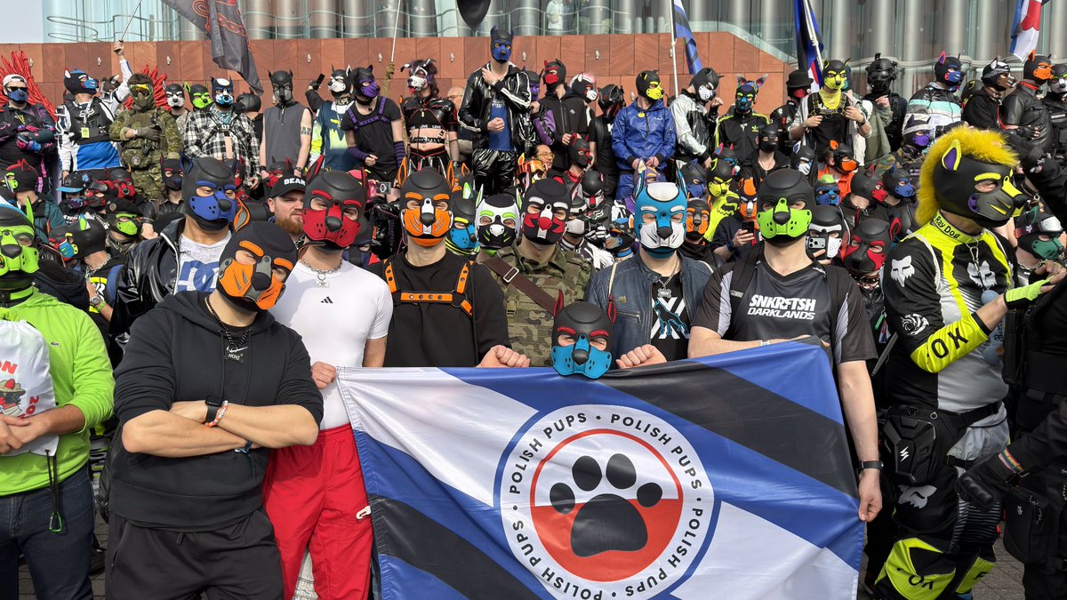 Polish Pups tweet media