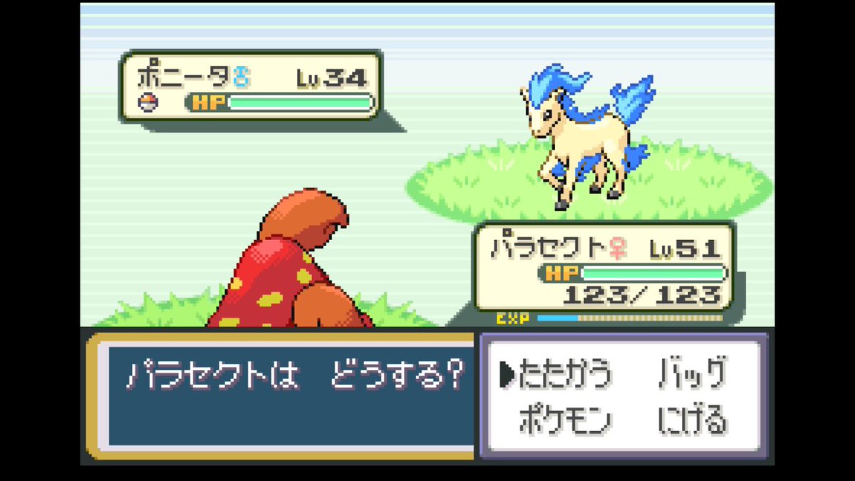 普通に歩いてたら色違いポニータが出てきた 無事に捕獲できました