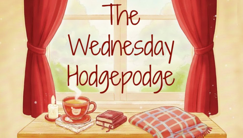 Kim Carberry tweet media