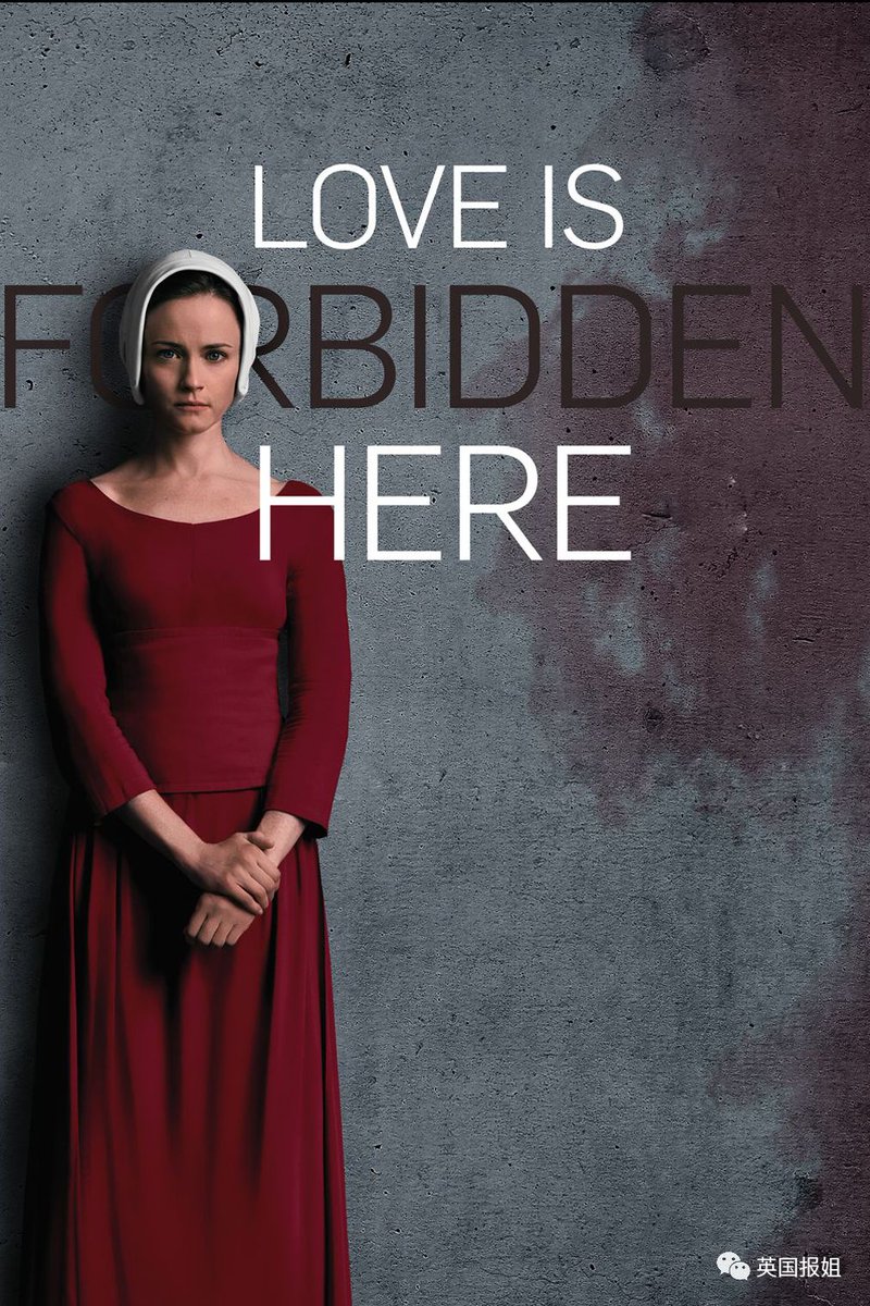 Rinaldo vasconcelos tweet media