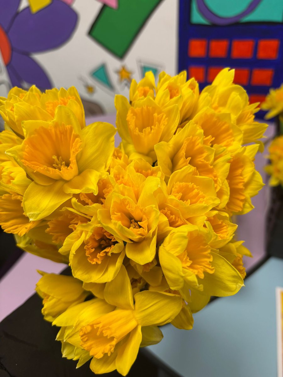 Grace Academy Coventry tweet media