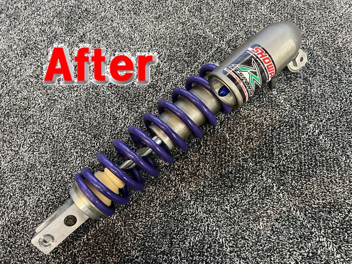 ピュアテック 皇帝ペンギン様 tweet media