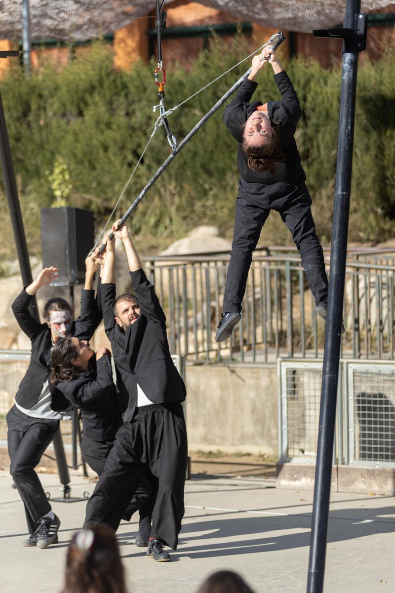 SOLSONA FM tweet media