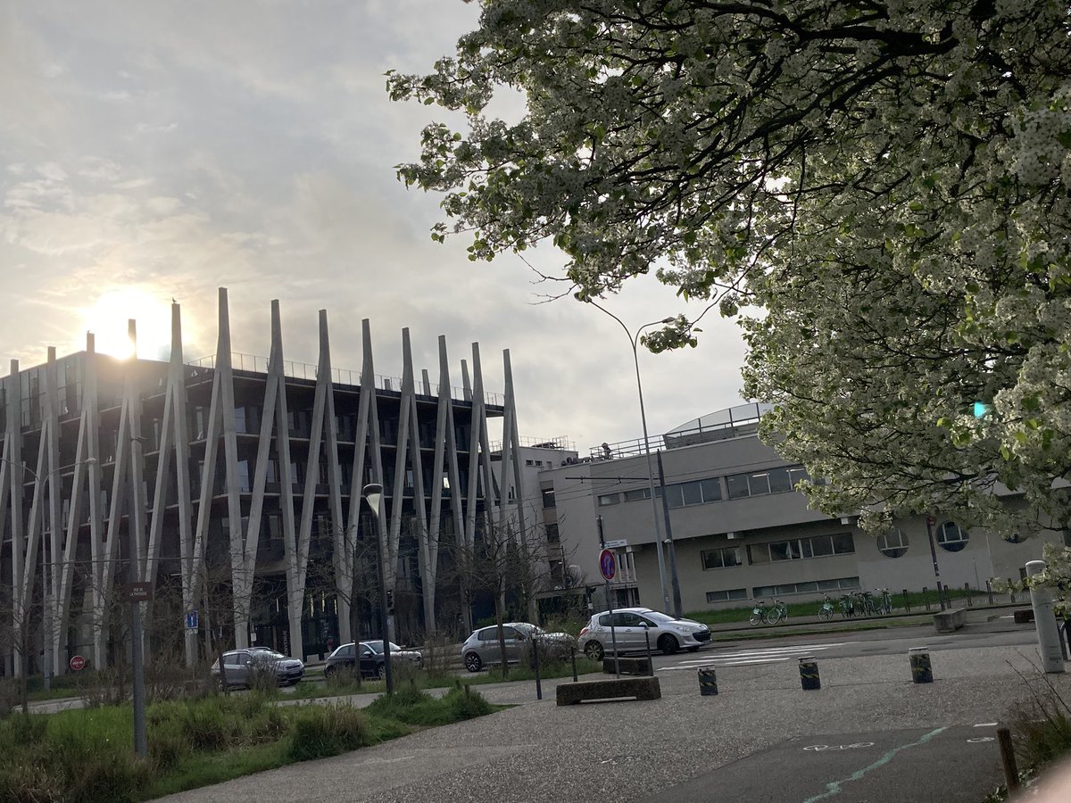 Frédéric Le Mouël ⛵️🇫🇷🇲🇽🇨🇳 tweet media