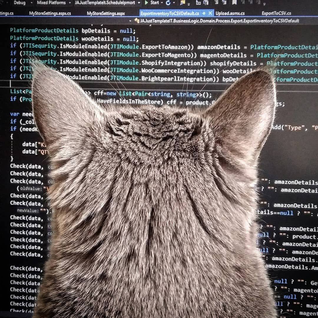 sarcaxtiSX's tweet photo. adamın biri vibecoding ile capybara oyunu yapmış 48 saatte 25 bin dolar kazanmış. capybara. kapibara... hayvan. tıklıyorsun büyüyor. bu kadar. oyunun tamamı bu.

ben 3 aydır oturuyorum düşünüyorum planlıyorum araştırıyorum mükemmel fikri arıyorum. adam kapibara çizdirmiş tıkla büyüsün demiş parayı kırmış. bir başkası ramazanda uygulama yapmış vibecoding ile. bir diğeri haftada 6 tane app çıkarmış her biri 1-2 prompt. biri bile tutsa adam kazanıyor. sen hala ne yapsam diye düşünüyon..

şu an olan şey şu. kodlama bilmeyen insanlar saçma sapan fikirlerle para kazanıyor çünkü düşünmeden yapıyorlar. sen düşüne düşüne çürüyorsun. mükemmeliyetçilik dediğin şey üretkenliğin katili. adam kapibara oyunuyla mass yapıyor sen hala clean code prensiplerini ezberliyor musun cidden.

brezilyadaki devler ego kasarken vibecoding yapanlar parayı kırıyor. herkes makale yazıyor vibecoding hakkında viral oluyor. adamlar vibecoding ile coin çıkarıyor kullanıcı buluyor. sen hala ciddi bir proje olsun kaliteli olsun diyorsun. kardeşim kapibara. tıkla büyüsün. 25 bin dolar. 48 saat.

dünya değişti ve sen hala eski kurallarla oynuyorsun. saçma fikrini al cursor aç claude bağla bas butona. en kötü ne olacak tutmayacak. adam 10 tane yapıyor biri tutuyor. sen 0 tane yapıyorsun 0 tutuyor. matematik bu kadar basit..