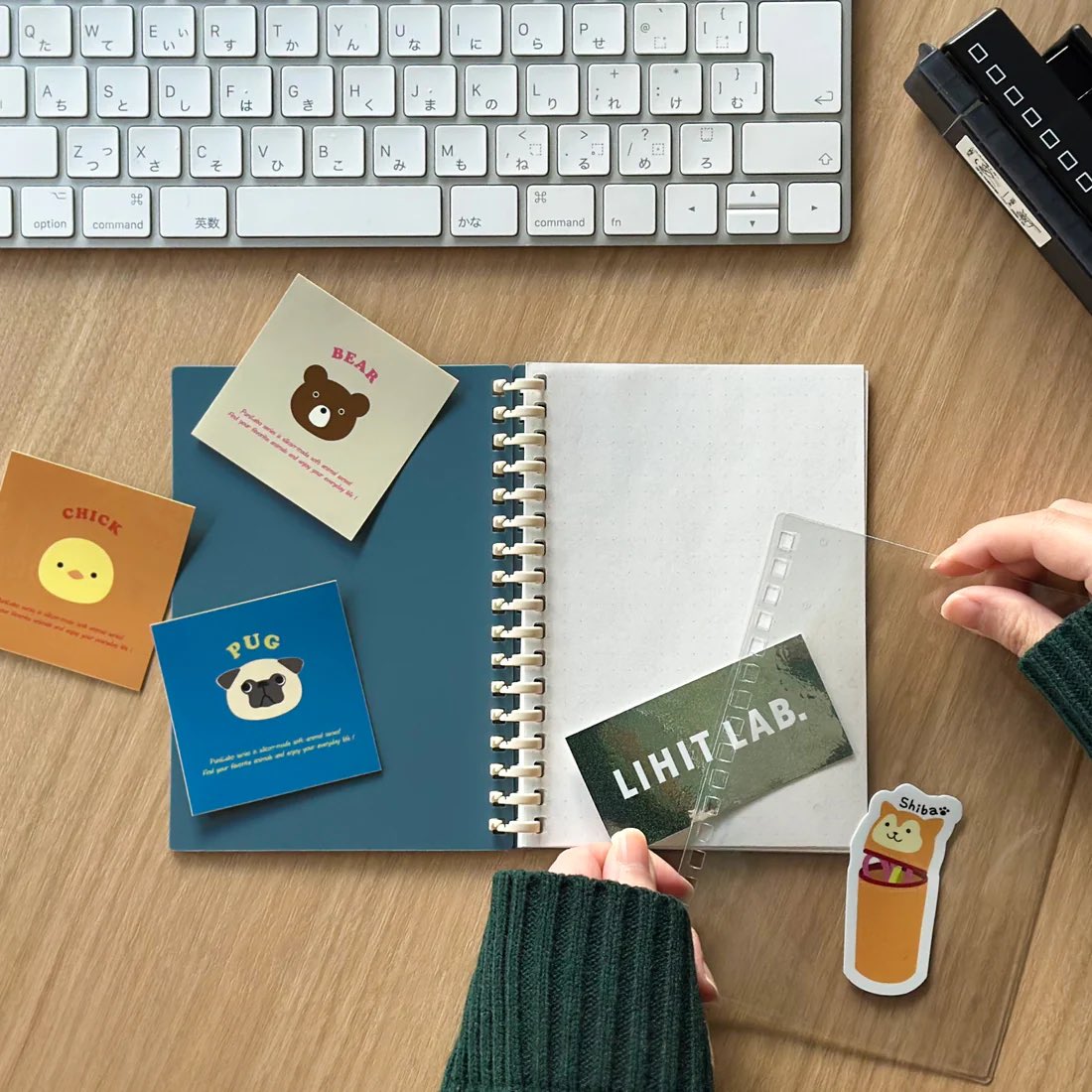 リヒトラブ tweet media