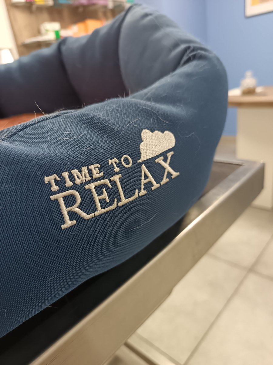 𝔼𝕞𝕖𝕝𝕝𝕖 ℙ 🌈🇵🇹🇨🇵 tweet media