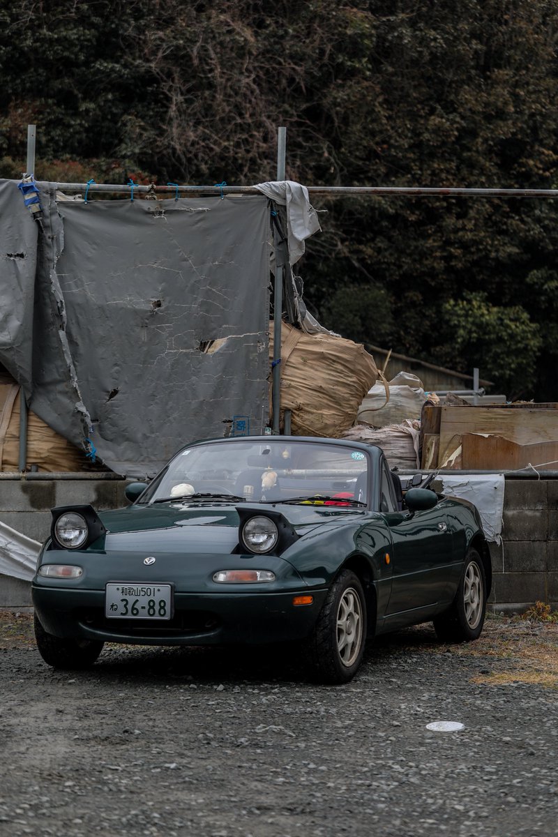 ꪔ̤̱ꪔ̤̱ tweet media