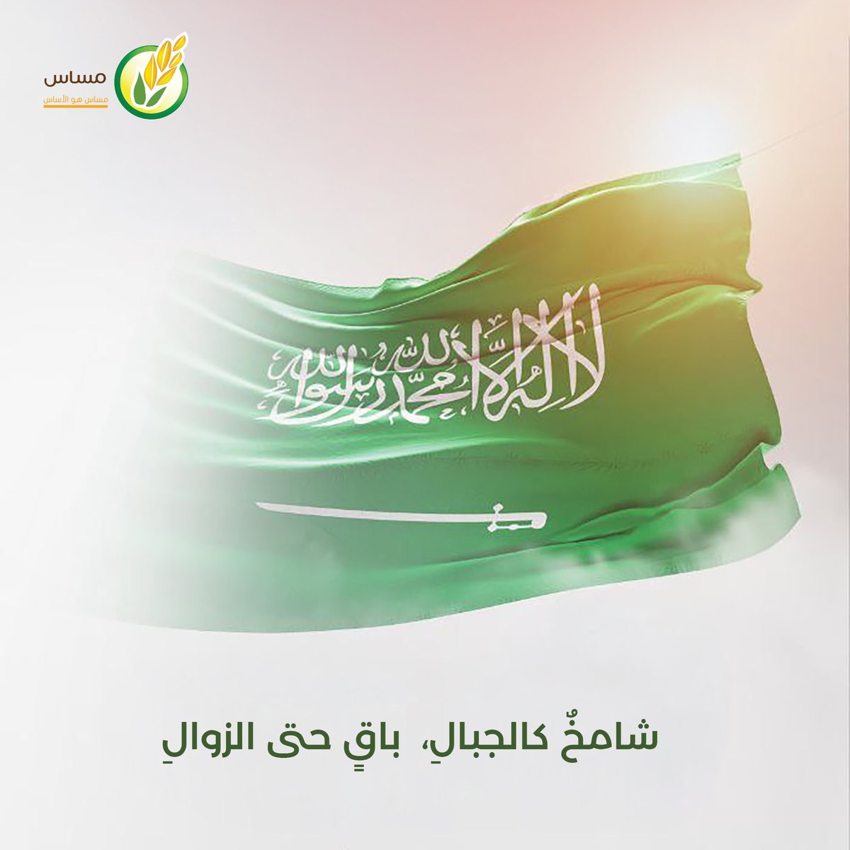 masas142's tweet photo. شامخاً لا ينكس .. رمزاً للُحمة و الانتماء 

#يوم_العَلم 🇸🇦 https://t.co/AAR8Gjg6e2
