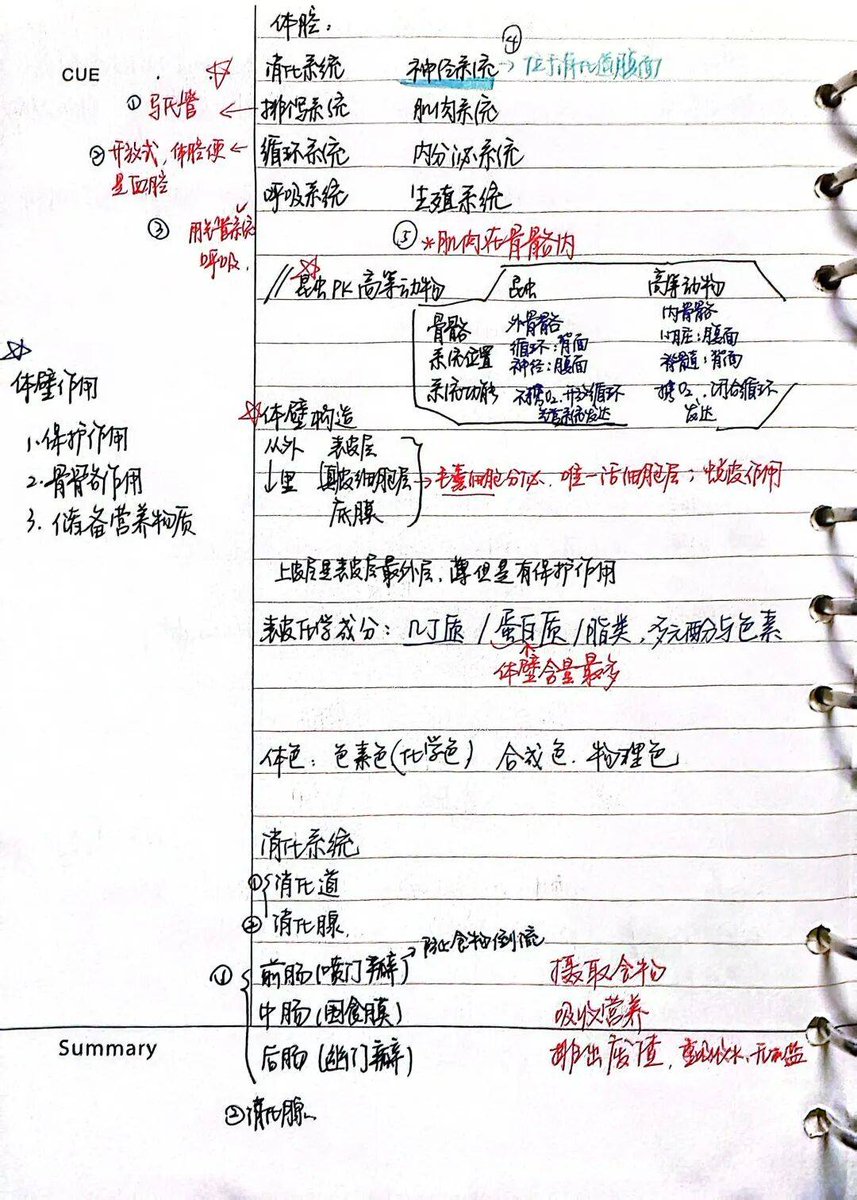 Roshanrohra4's tweet photo. 喜报！202X年XX考试顺利通过！备考的日夜终有回响，继续奔赴下一场成长 #考证上岸 #考试通过 https://t.co/jTbBFecpAh