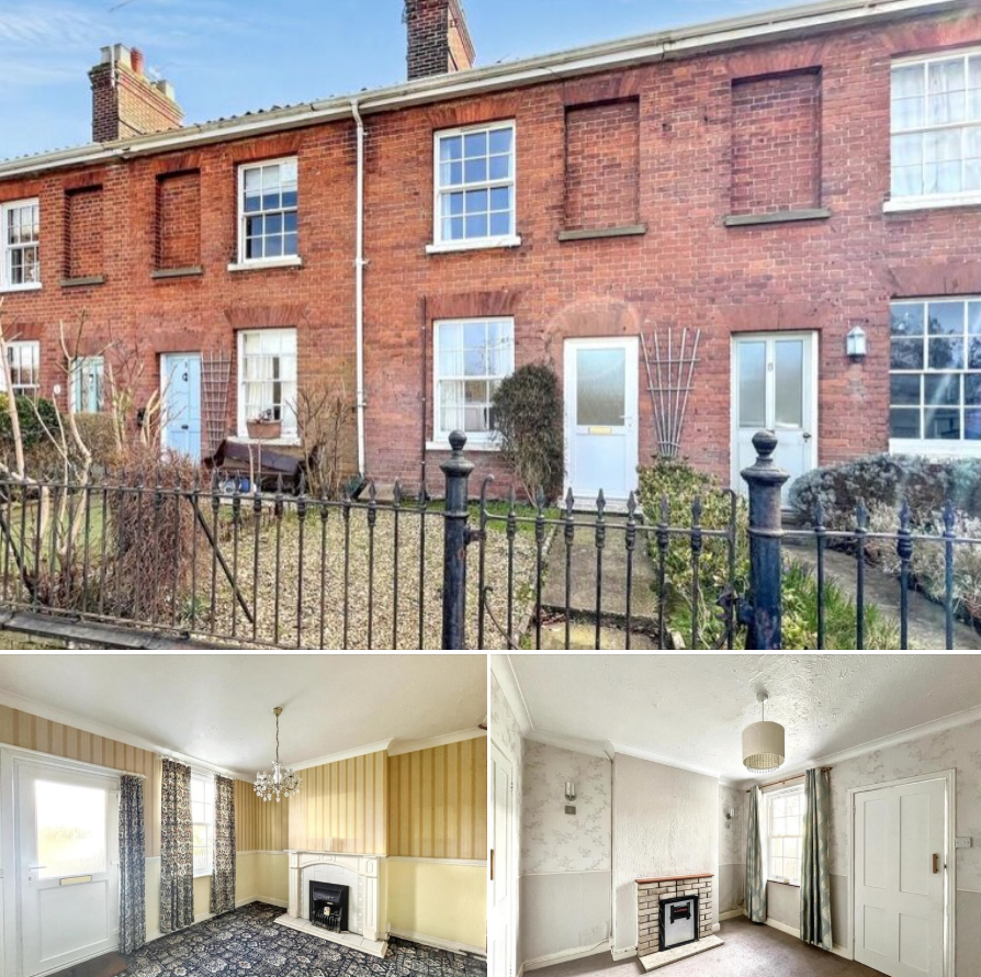 abbotFox tweet media