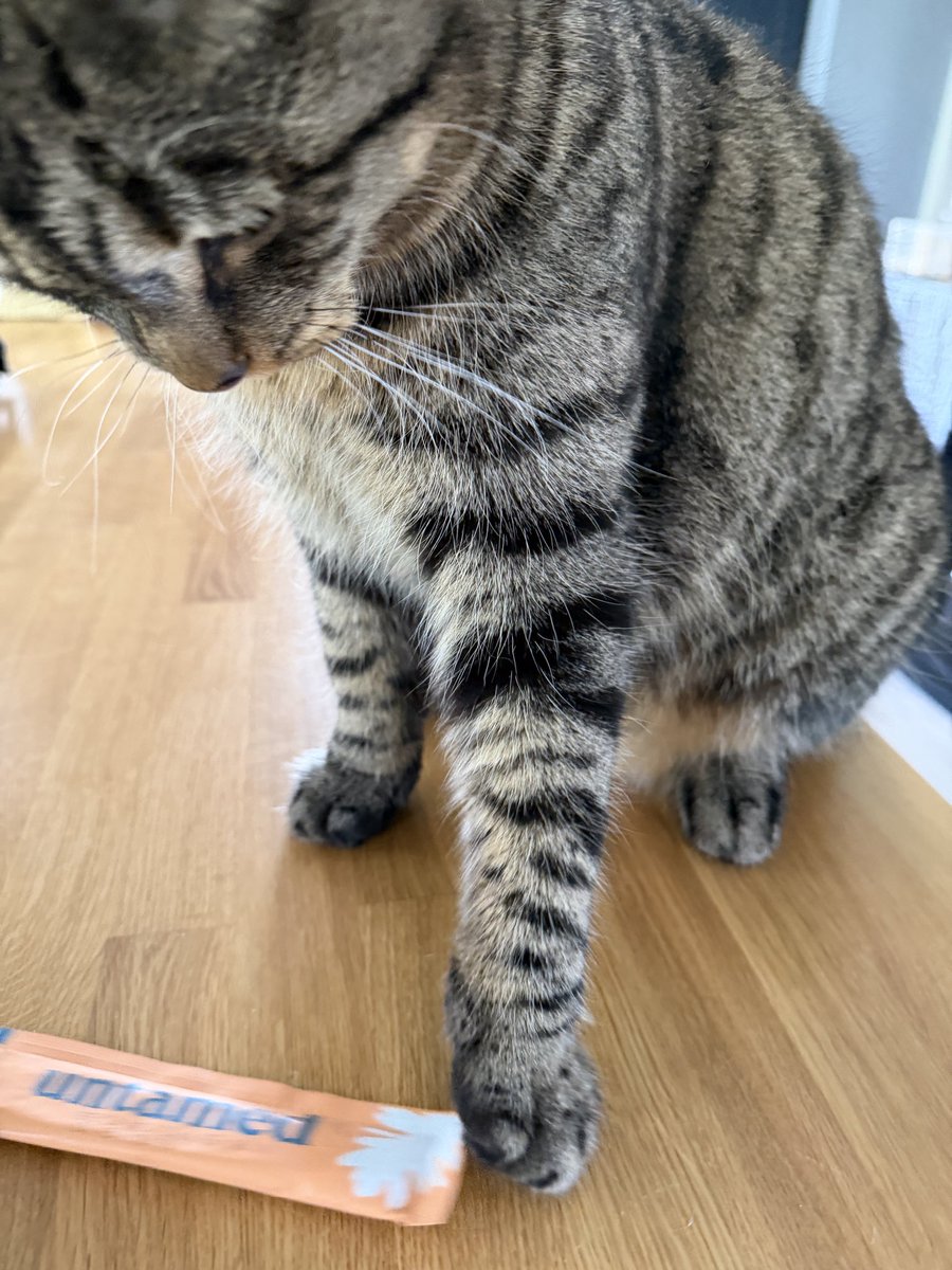 Ms Poppy Puffy Cheeks tweet media