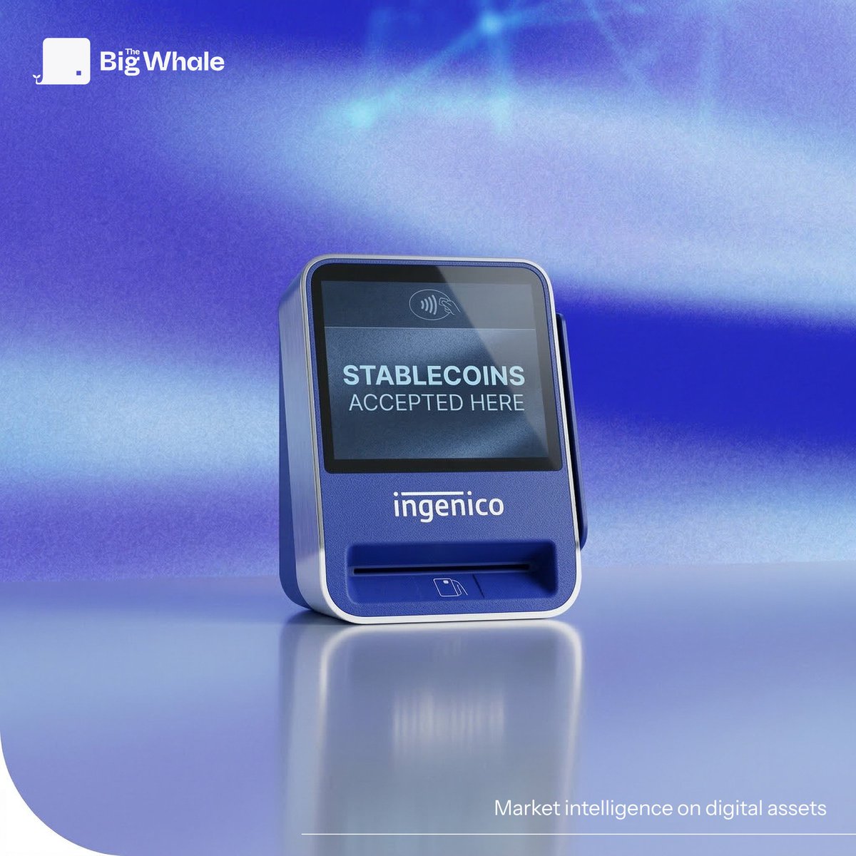 Grégory Raymond 🐳 tweet media