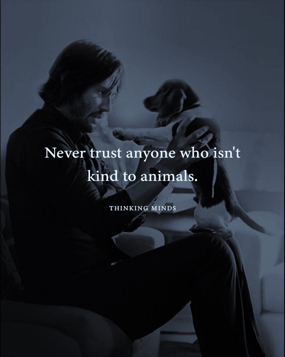 Thinking Minds tweet media