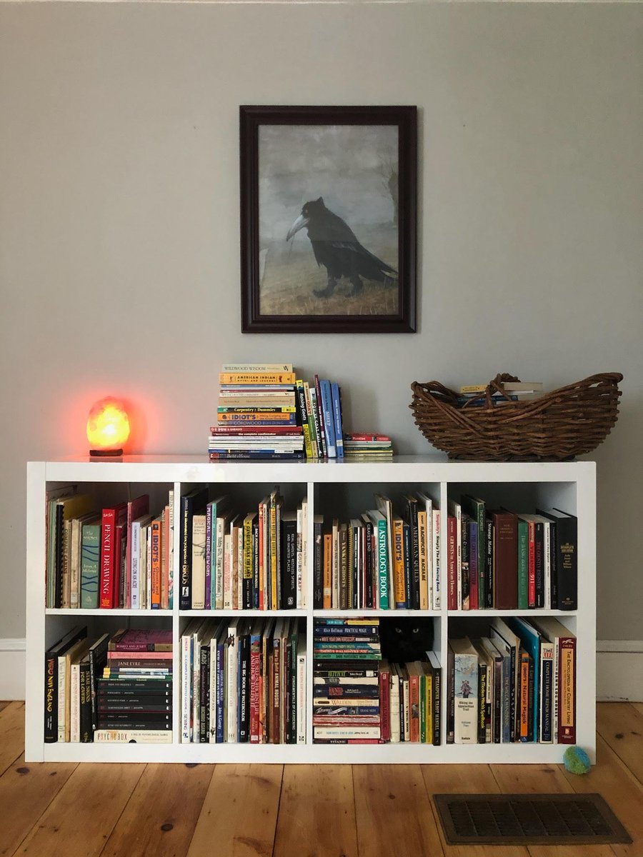 There is no cat in this image tweet media