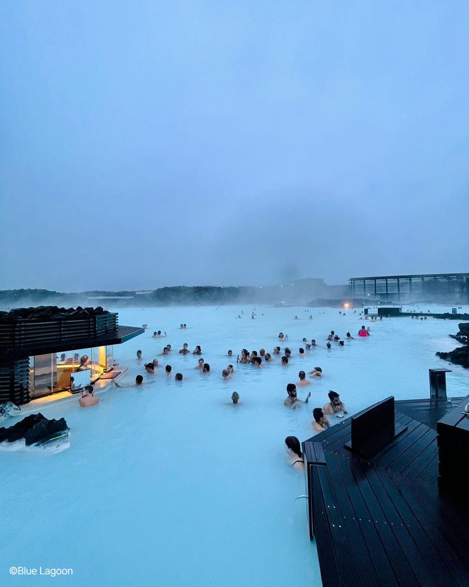 디지앤지 tweet media