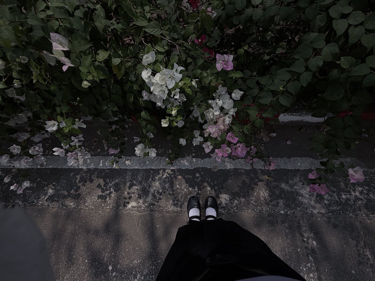 𖤐 (@tlo3pr) on Twitter photo 