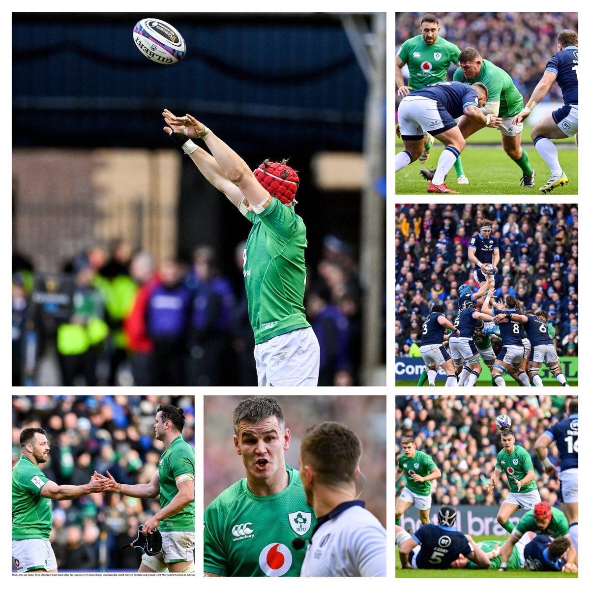 Leinster Supporters tweet media