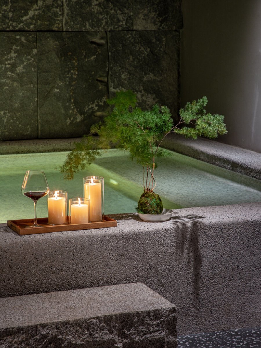 Steve Bannon tweet media