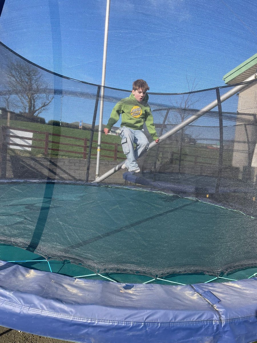 St.Brides Primary tweet media