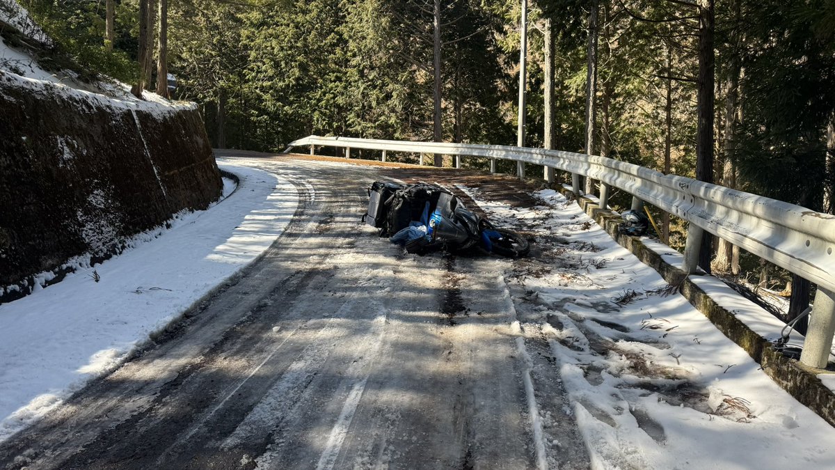 ここあちゃん@日本一周完（折り返し中） tweet media