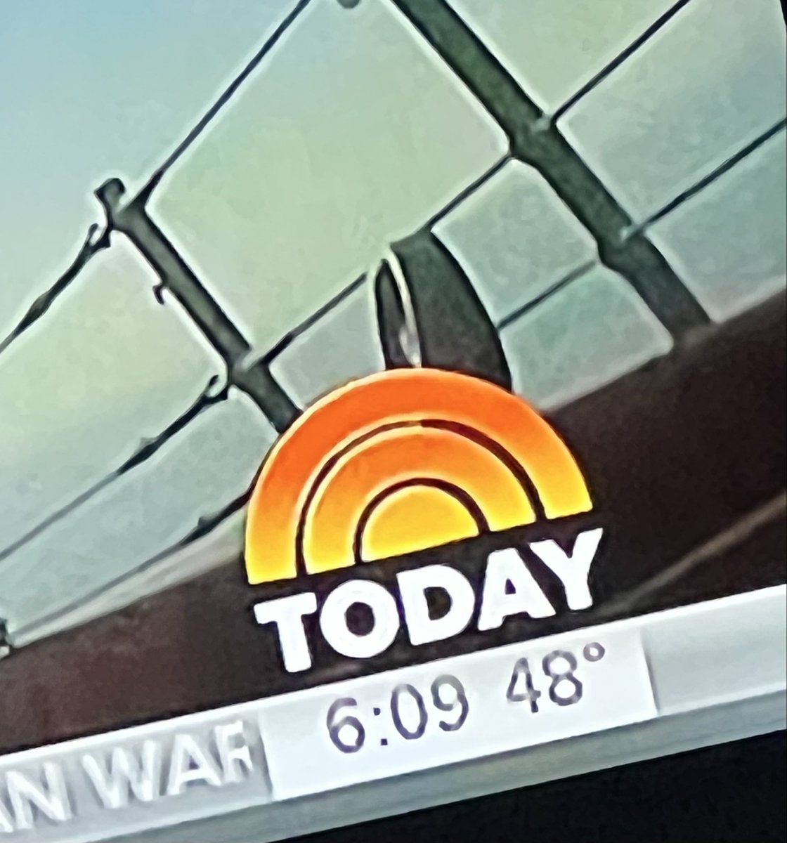 rose zelman tweet media