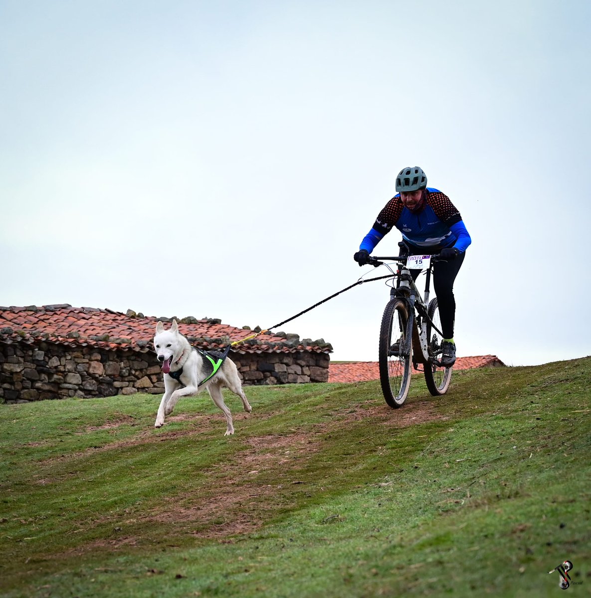 Municipio de Valverde de la Virgen tweet media