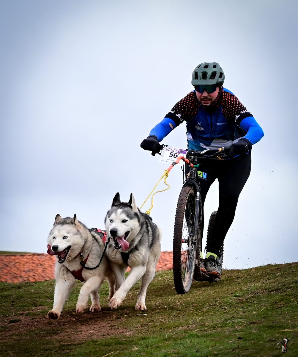 Municipio de Valverde de la Virgen tweet media