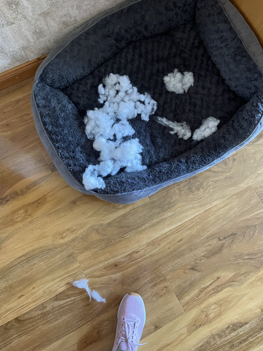 Adele and Rex (former staff to Monty🌈& Jilly🌈) tweet media