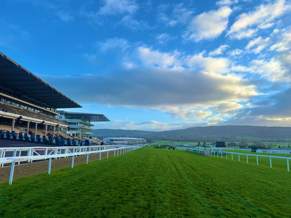 Tom Hall tweet media