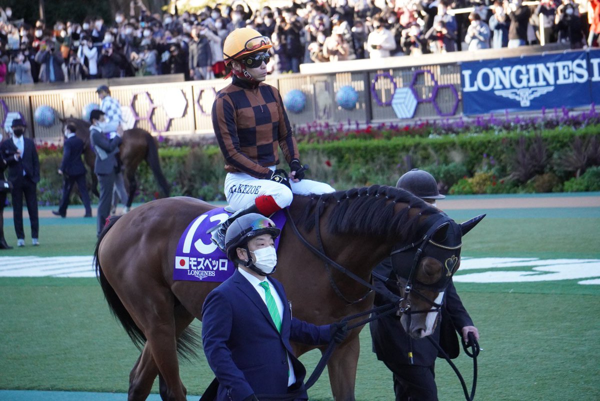 あたくしの姉

池添謙一 競馬をほぼあたくしの口から出た情報と見に行った2021年ジャパンカップのことしか知らないので乳首って言うと思い出す(乳首ではなく多分プロテクターかなんかなんだろうけど)