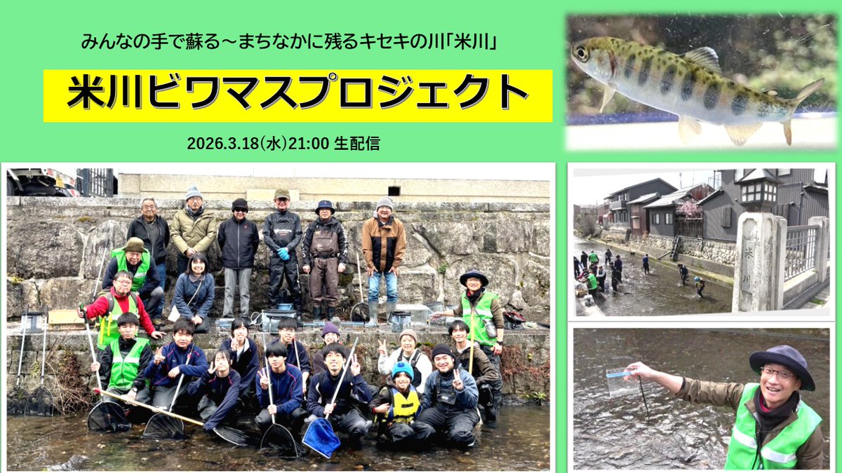 STUDIOKOHOKU's tweet photo. 次回配信 3/18(水)21:00 ★3/11(水)お休み★
米川ビワマスプロジェクト～みんなの手で蘇るキセキの川　
豊かな自然にあふれ、野菜の洗い場や子ども達の遊び場として暮らしの中心だった滋賀県長浜市「米川」。再生を目指しまちの人々が取組む「米川ビワマスプロジェクト」とは!
https://t.co/wip3wjDLAh https://t.co/fiIGLnqfDi