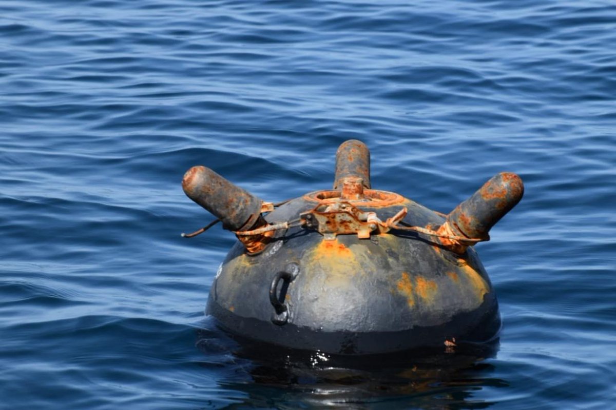 Mario Nawfal tweet media