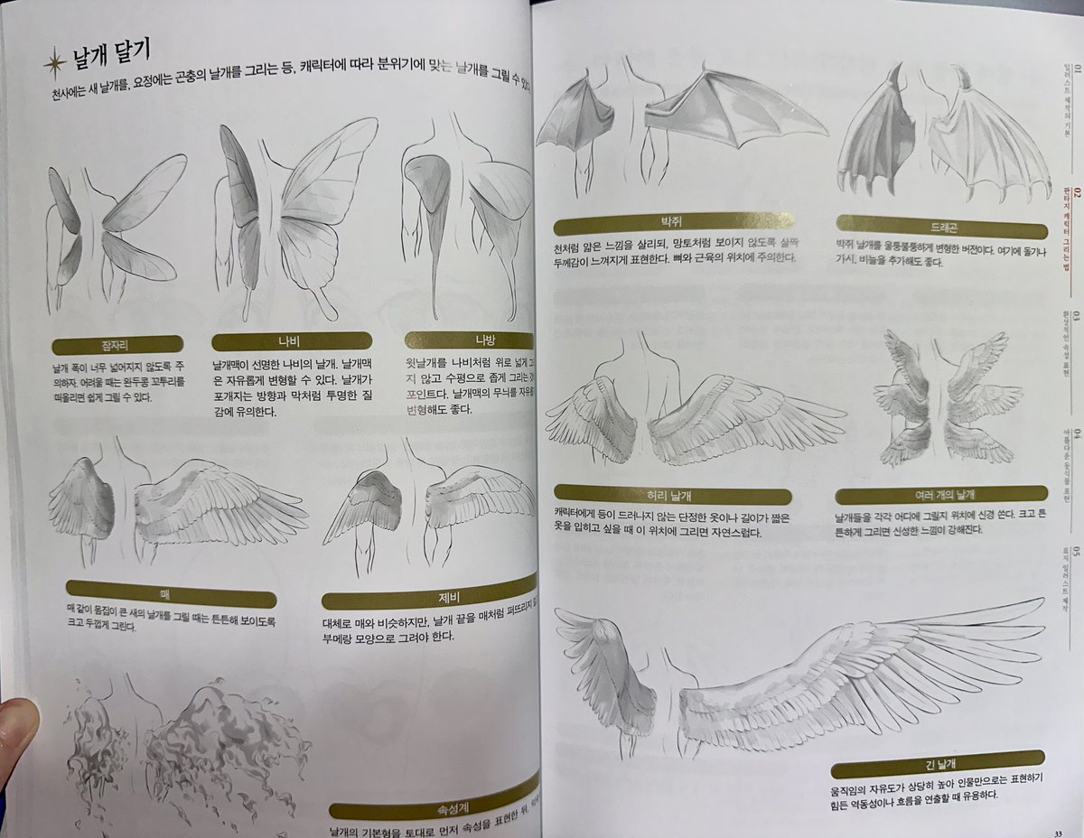 HUI | RAUM / coloso tweet media