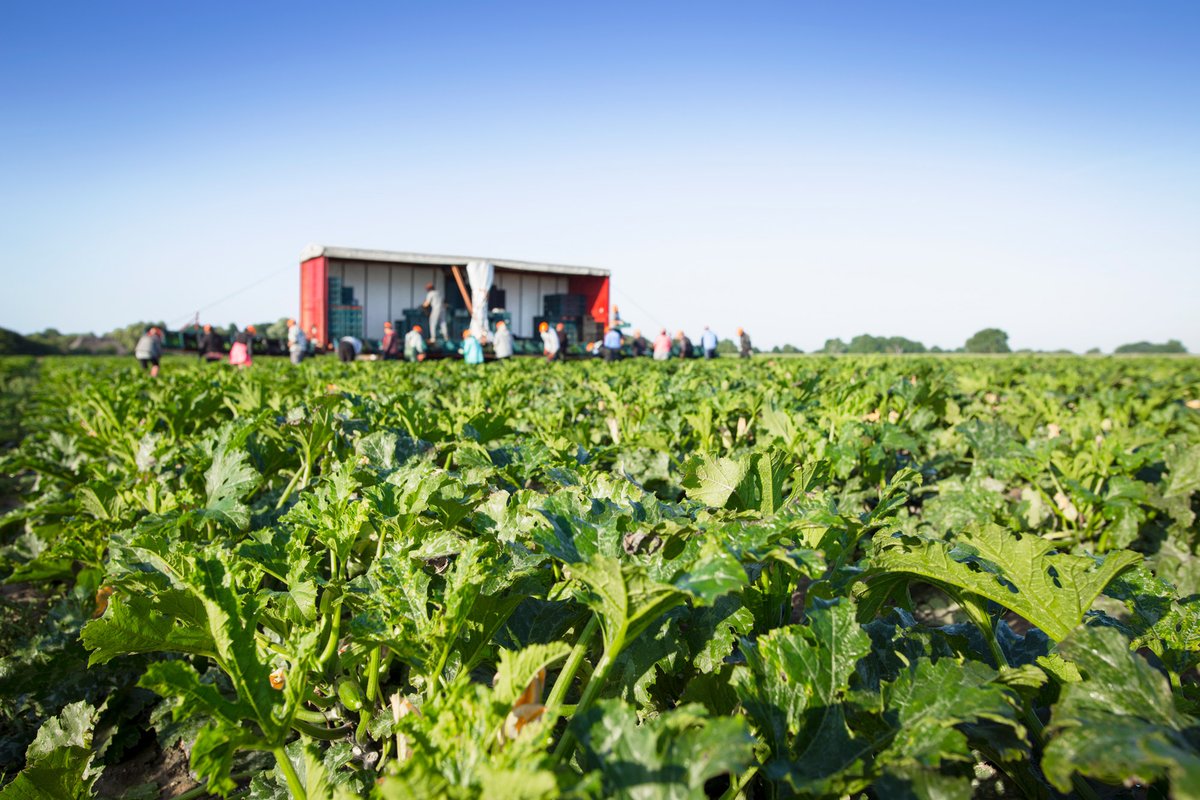 LEAF Education tweet media