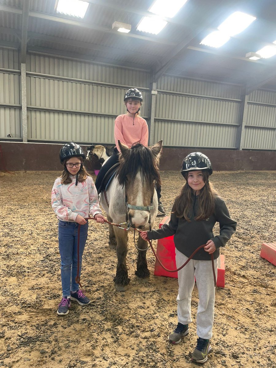 St.Brides Primary tweet media