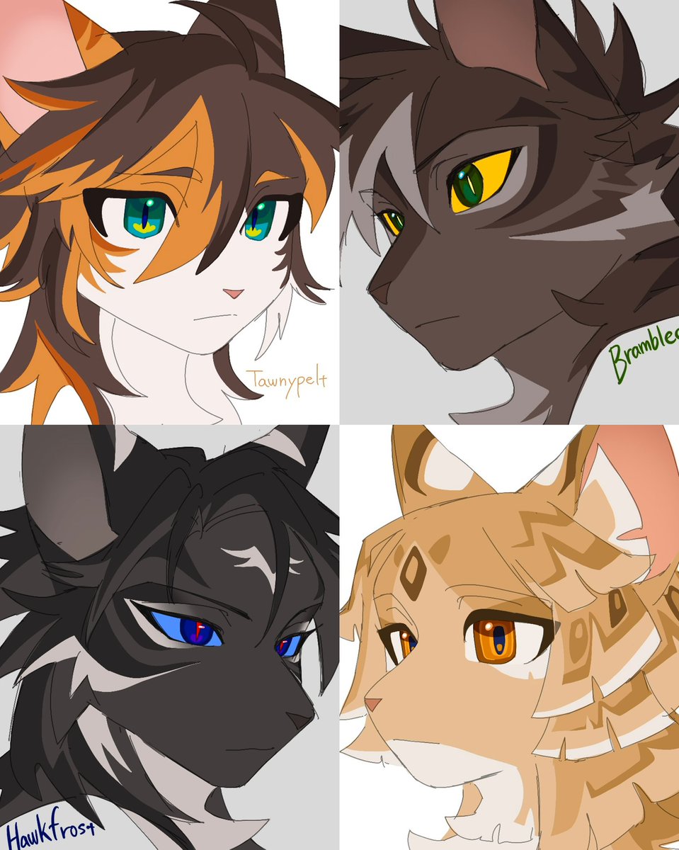 猫ゴコロ🇯🇵 tweet media