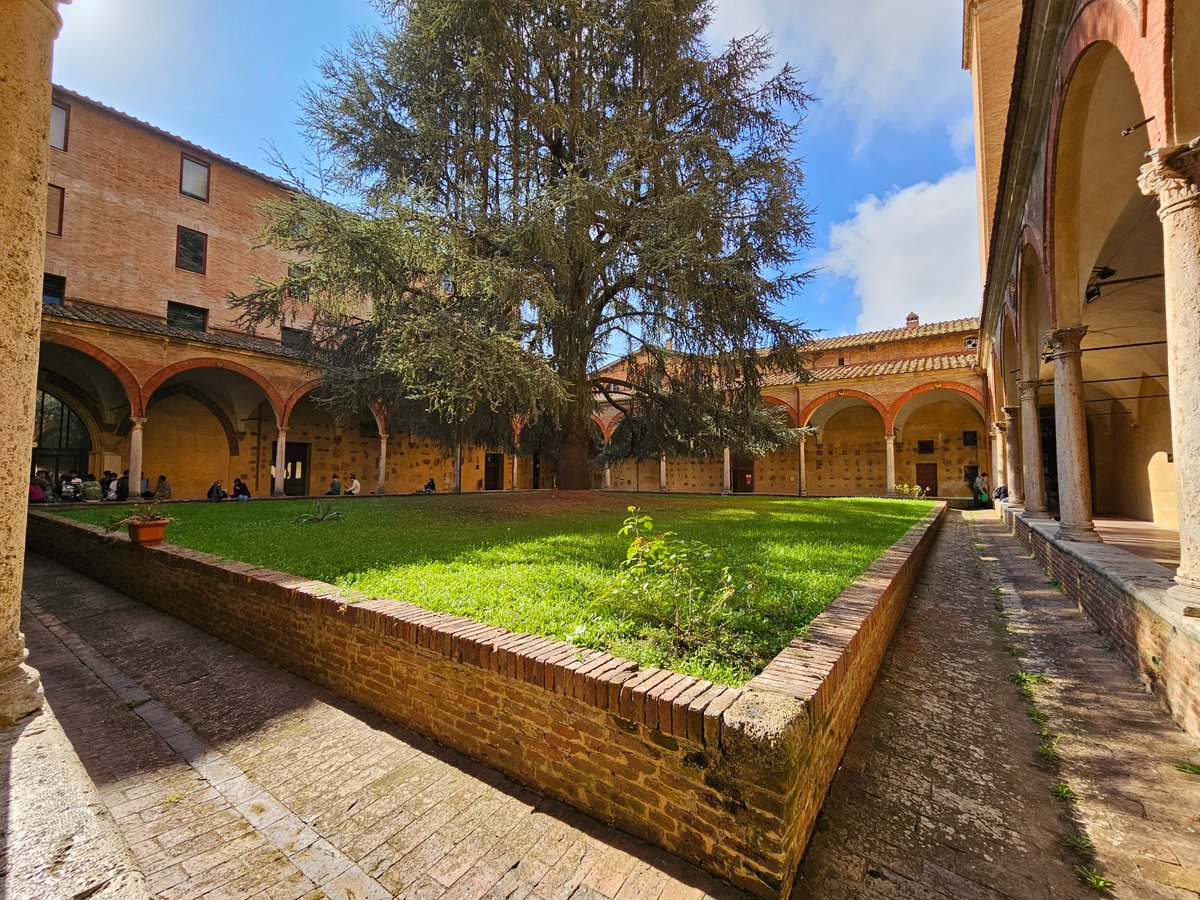 DEPS Siena - Economics & Statistics tweet media