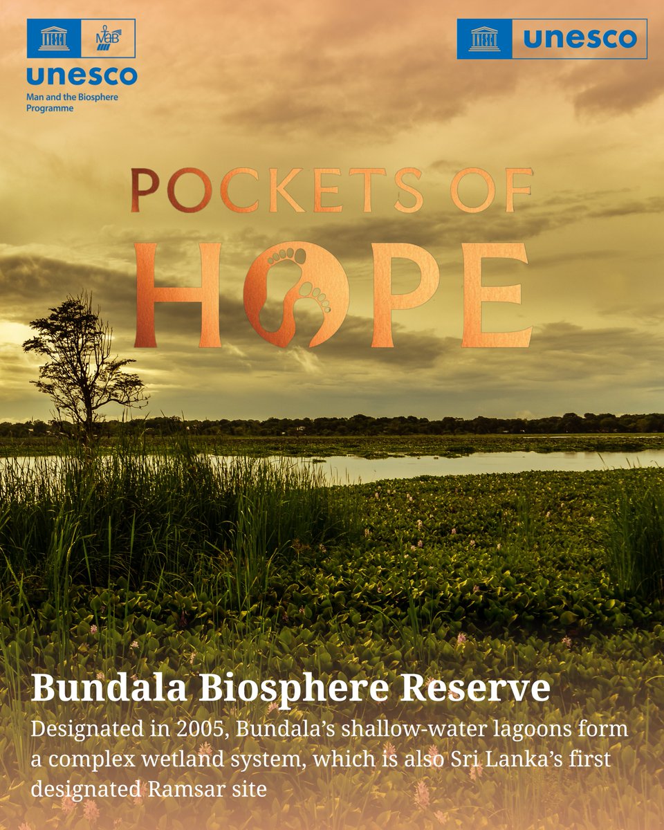 UNESCO South Asia 🏛 #Education #Sciences #Culture tweet media