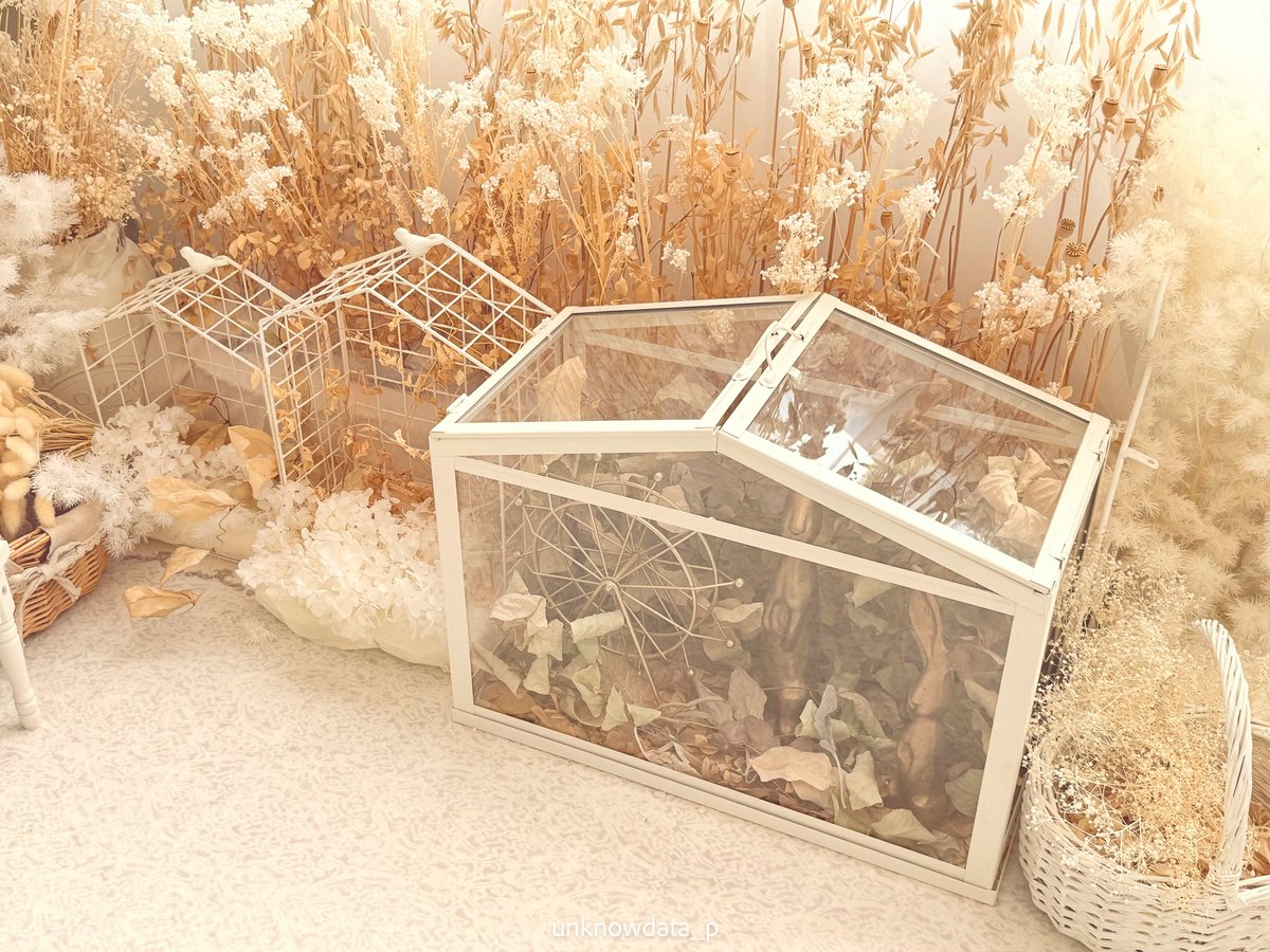 アンノウP⌚️ tweet media