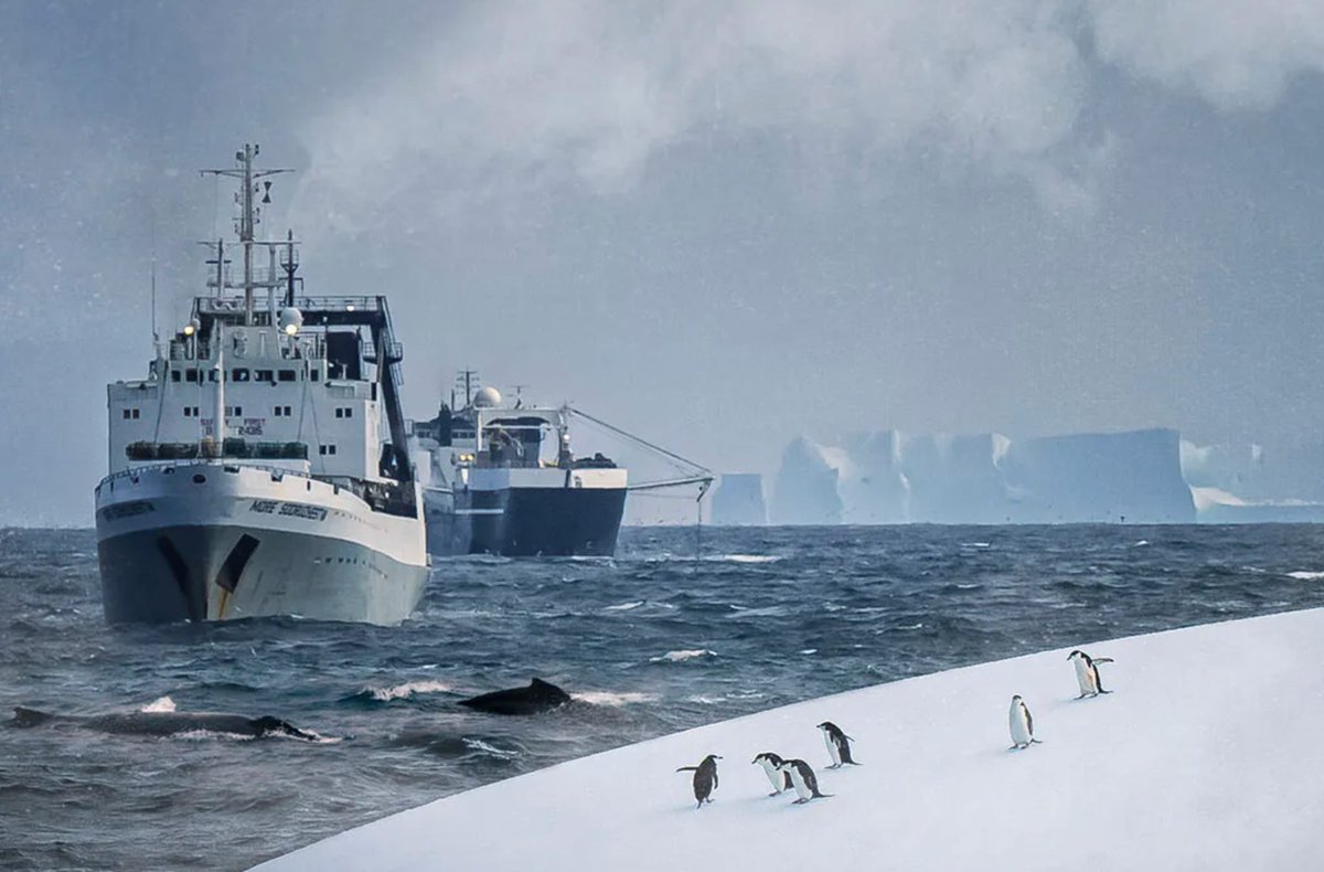 Mark Lynas tweet media