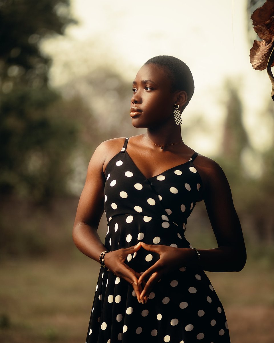 Daniel's Studios tweet media